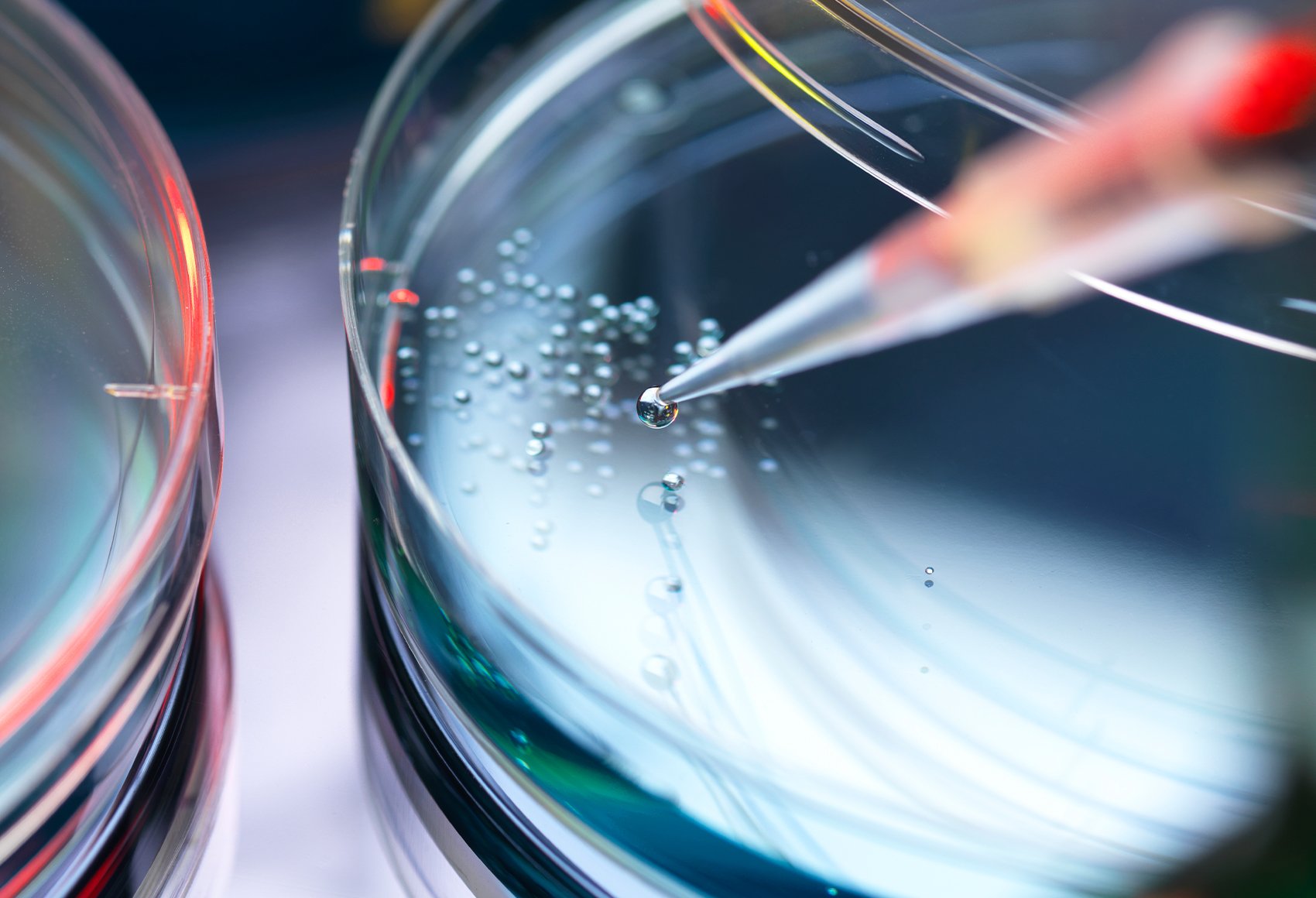 A close-up shot of a pipette dispensing a liquid onto a petri dish