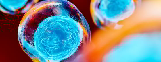 image represents a microscopic view of stem cells used in regenerative medicine