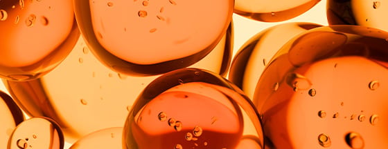 Lipids in scientific context in amber